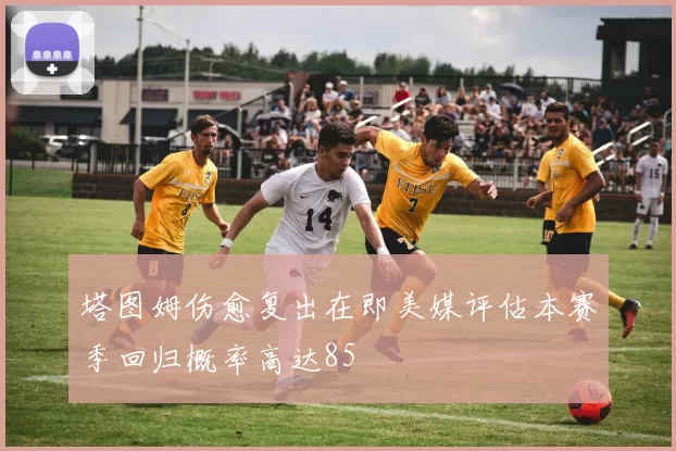 塔图姆伤愈复出在即美媒评估本赛季回归概率高达85